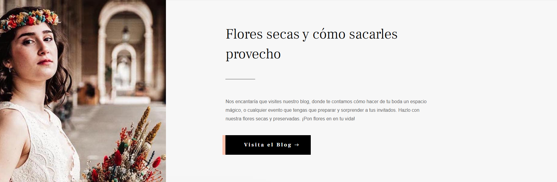 Flores secas y como sacarles provecho