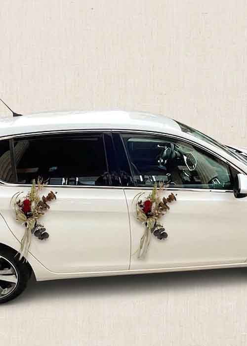 Lazos para Sillas y Coches