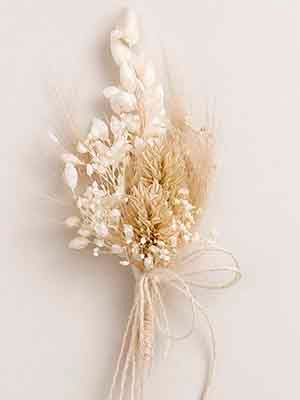 Solapas y Boutonniere