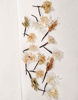 20 Alfileres de Flores Surtidas para el Pelo