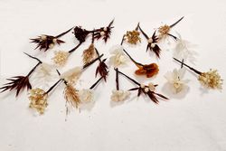 20 Alfileres de Flores Surtidas para el Pelo