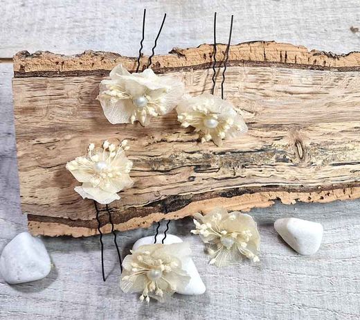 Horquillas de Hortensia Multicolor Preservada