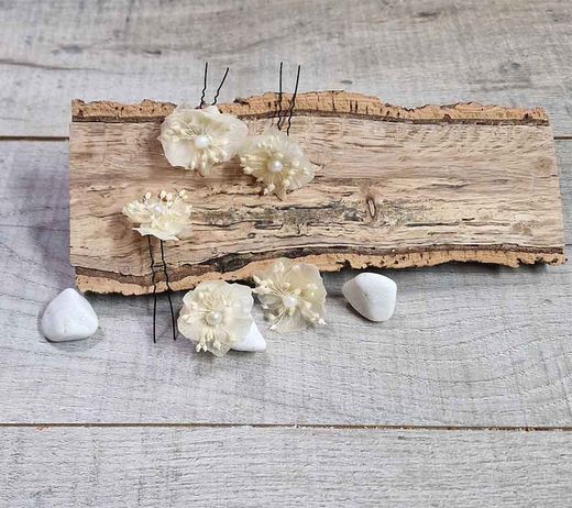 Horquillas de Hortensia Multicolor Preservada