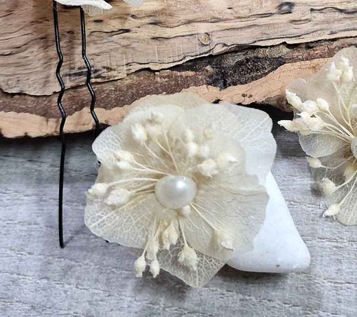 Horquillas de Hortensia Multicolor Preservada