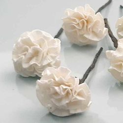 5 Claveles Para el Pelo