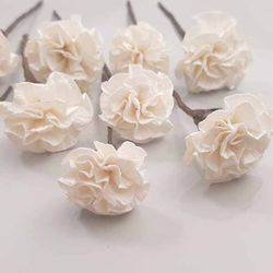 5 Claveles Para el Pelo