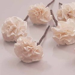 5 Claveles Para el Pelo