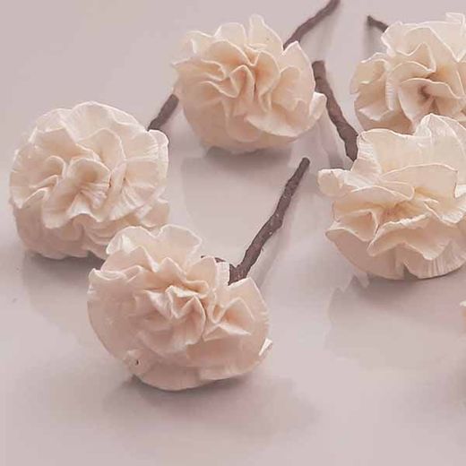 5 Claveles Para el Pelo