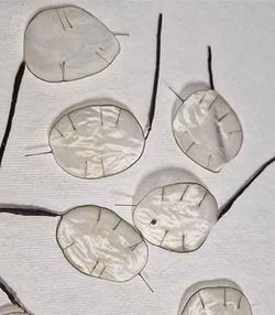 5 Flores de Lunaria para el Pelo