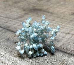 Paniculata en Colores para el Pelo