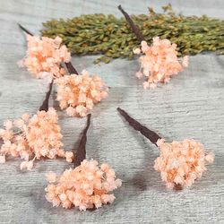 Paniculata en Colores para el Pelo