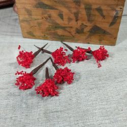 Paniculata en Colores para el Pelo