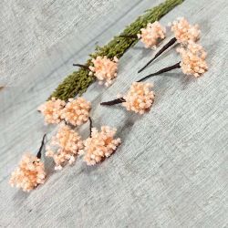 Paniculata en Colores para el Pelo