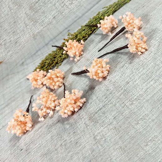 5 Paniculata Rosa para el Pelo