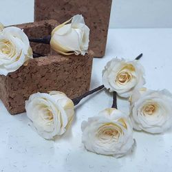 5 Pin de Rosas Champagne