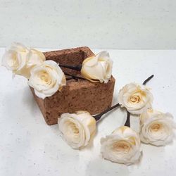 5 Pin de Rosas Champagne