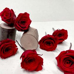 5 Pin de Rosas Rojas