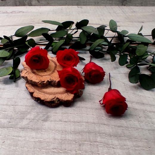 5 Pin de Rosas Rojas