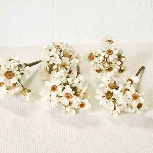 5 Pin Pelo Margarita Preservada