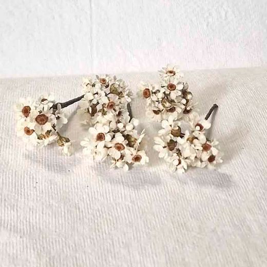 5 Pin Pelo Margarita Preservada