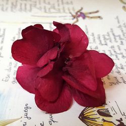 5 Pins Hortensia Burdeos