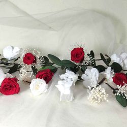 5 Rosas Hortensia Paniculata Blanca