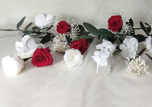 5 Rosas Hortensia Paniculata Blanca