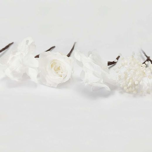 5 Rosas Hortensia Paniculata Blanca