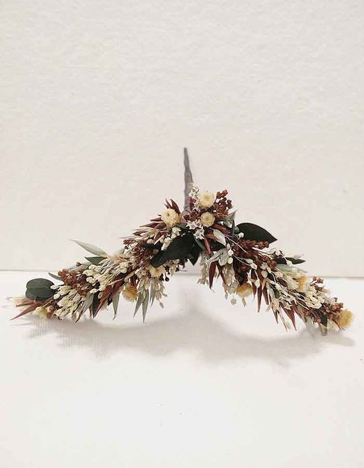 Alas de Mariposa Isis