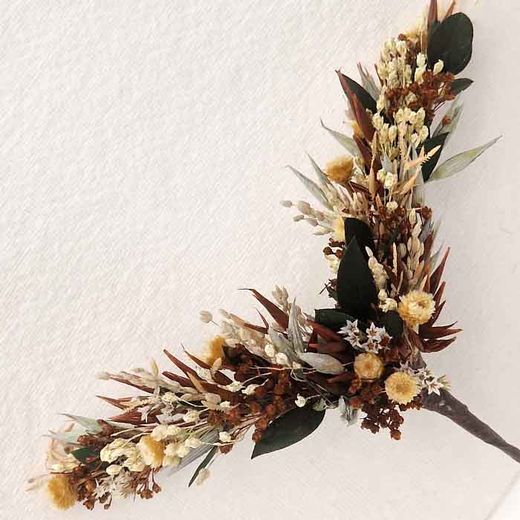 Alas de Mariposa Isis