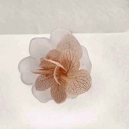 Amapola Blanca de Glasse con Hortensia