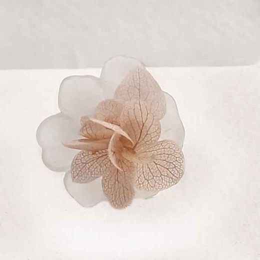 Amapola Blanca de Glasse con Hortensia