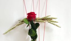 Comprar Dos Rosas y Peluche