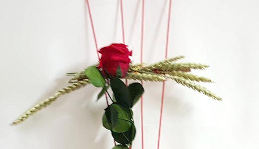 Comprar Dos Rosas y Peluche