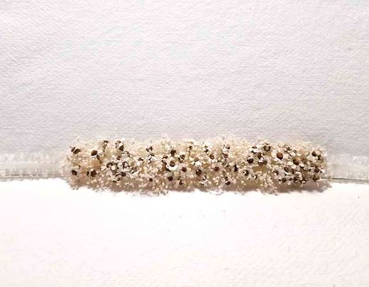 Corona para Bebés Flores Margaritas