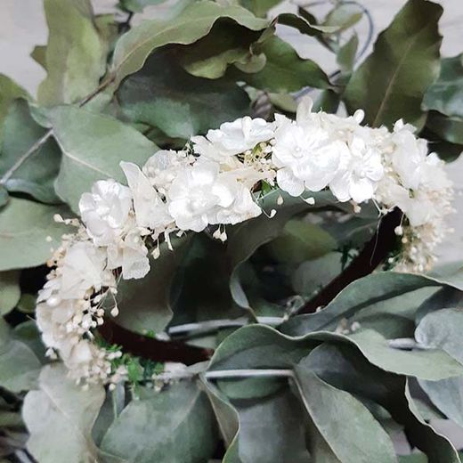 Diadema de miosotis blanco