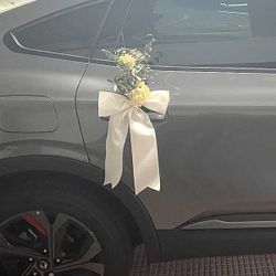Dos Lazos Coche con Hortensia