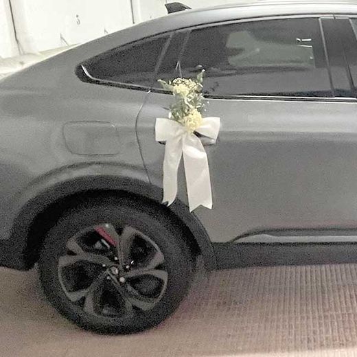 Dos Lazos Coche con Hortensia