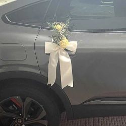 Lazos Coche de cuatro puertas con Hortènsia