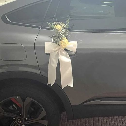 Lazos Coche de cuatro puertas con Hortènsia