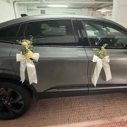 Lazos Coche de cuatro puertas con Hortènsia