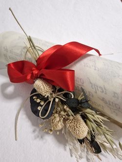 Escritos a Mano en Pergamino Minimalista