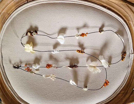 Extensiones de Flores Diana