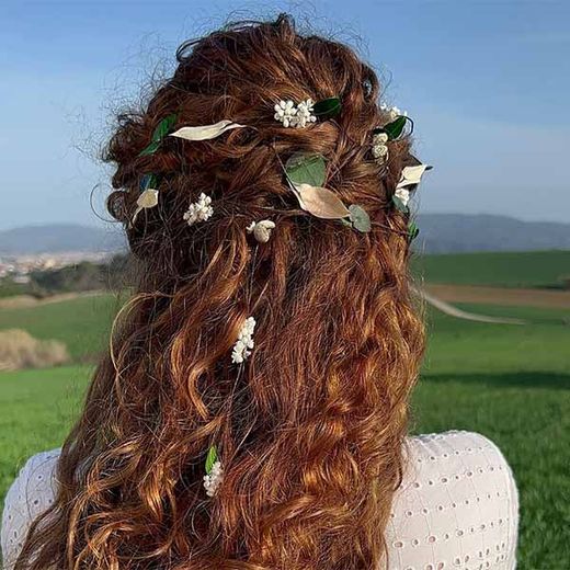 Extensiones de Flores Diana