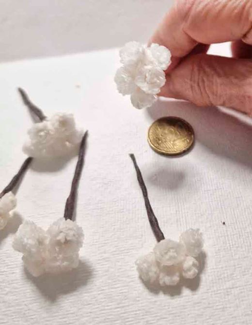 Flor de Siempreviva para el Pelo