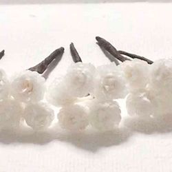 Flor de Siempreviva para el Pelo