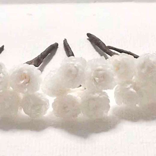 Flor de Siempreviva para el Pelo