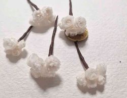 Flor de Siempreviva para el Pelo