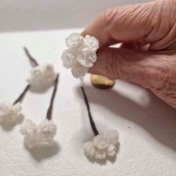 Flor de Siempreviva para el Pelo