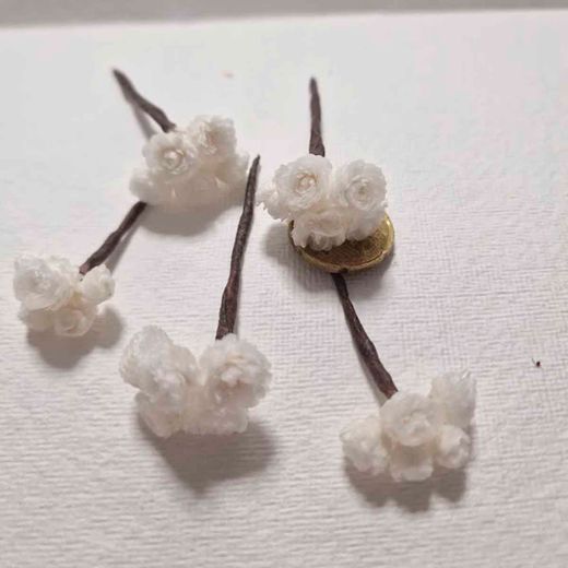Flor de Siempreviva para el Pelo